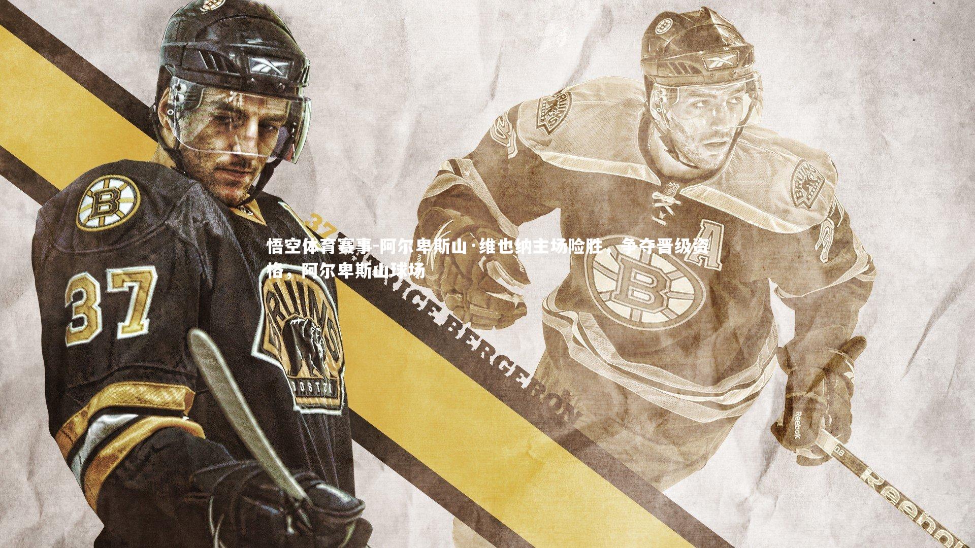 阿尔卑斯山·维也纳主场险胜，争夺晋级资格，阿尔卑斯山球场