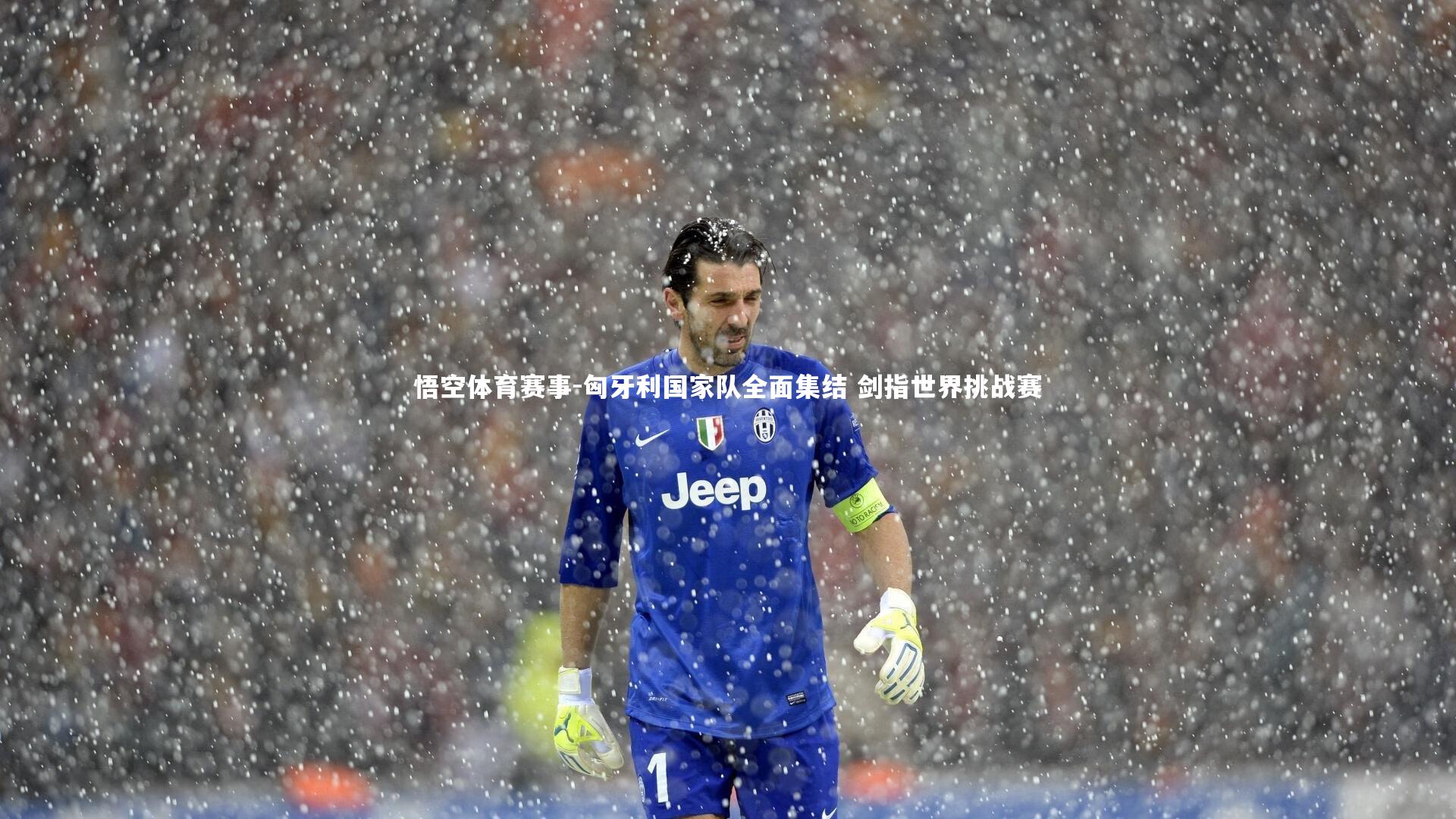 悟空体育赛事-匈牙利国家队全面集结 剑指世界挑战赛